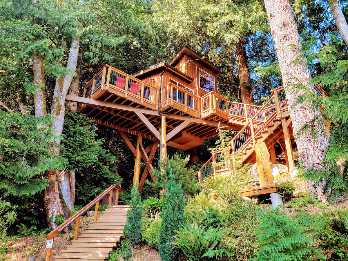 Exterior & Canopy 1