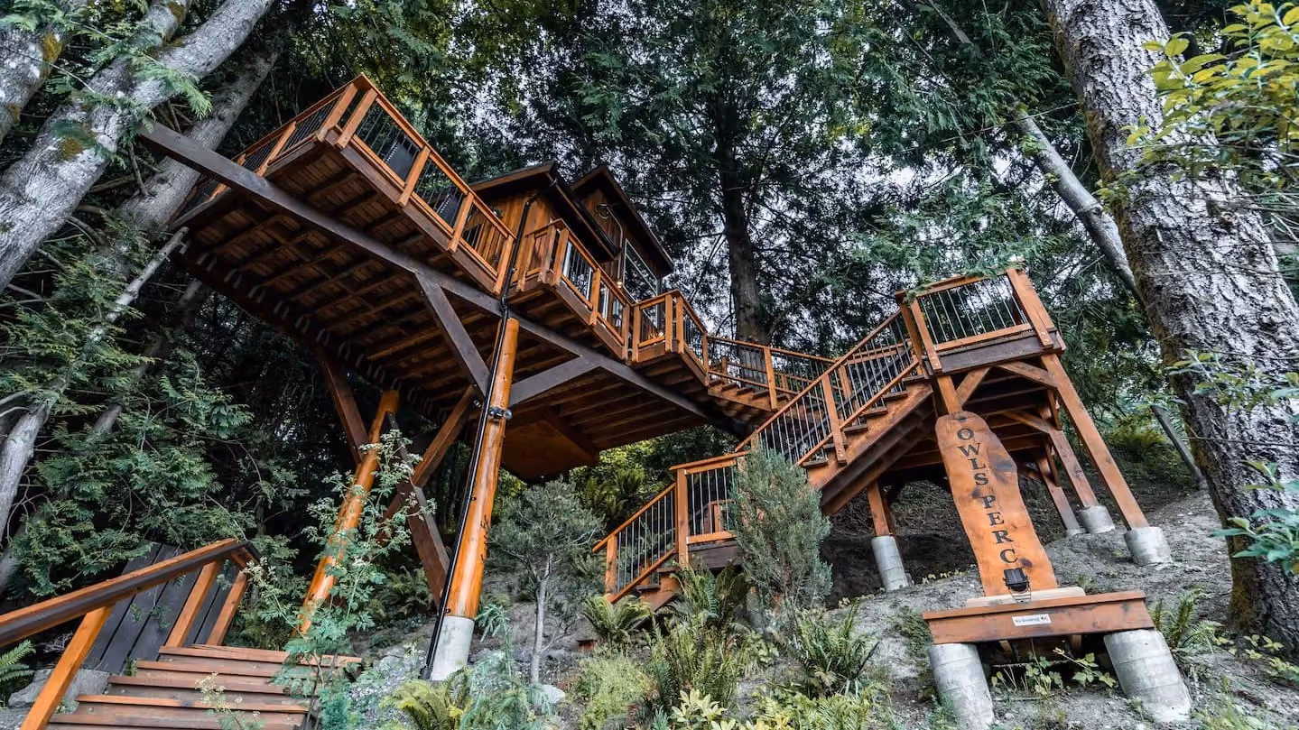 Exterior & Canopy 3