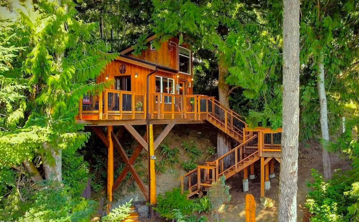 Exterior & Canopy 5